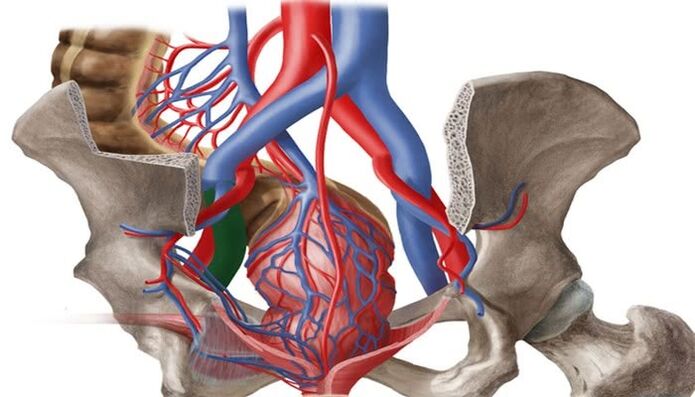 İç organ damarlarının genişlemesi